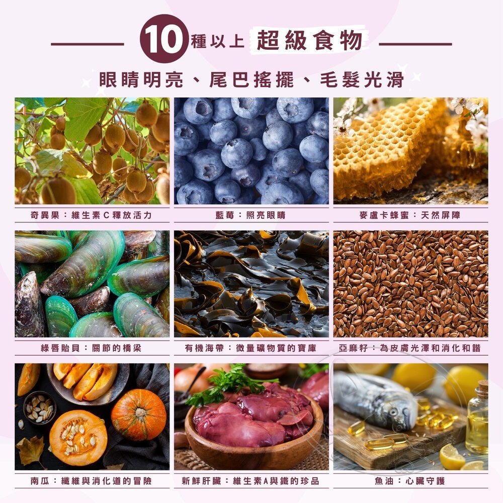 【旺生活】SOULMATE 索美達 紐西蘭低溫烘焙糧+鮮食肉片 貓糧 40G 貓糧 貓飼料 貓肉片-細節圖10