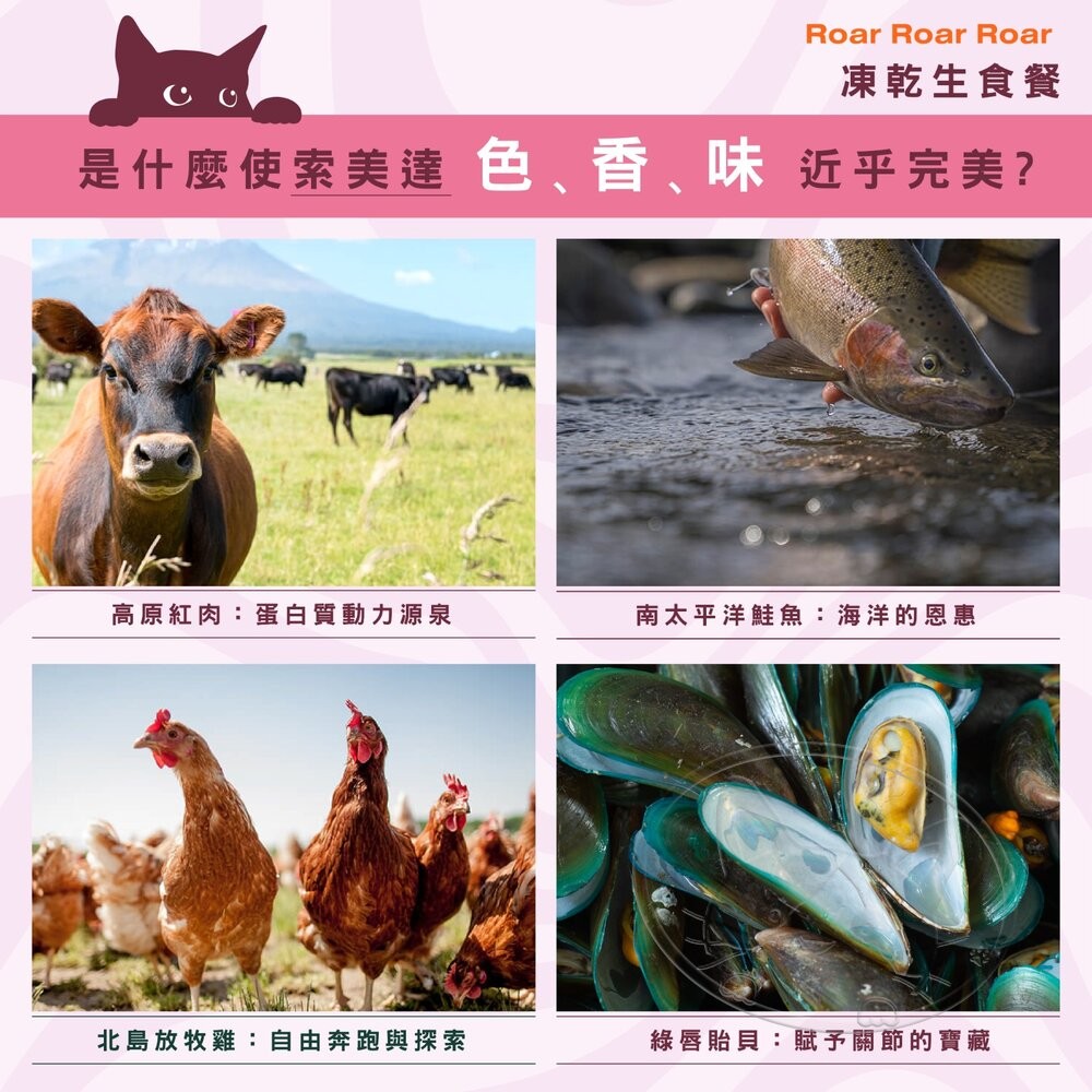 【旺生活】SOULMATE 索美達 紐西蘭凍乾生食餐 凍乾貓糧 貓糧 400G 貓糧 貓飼料 貓肉片-細節圖10