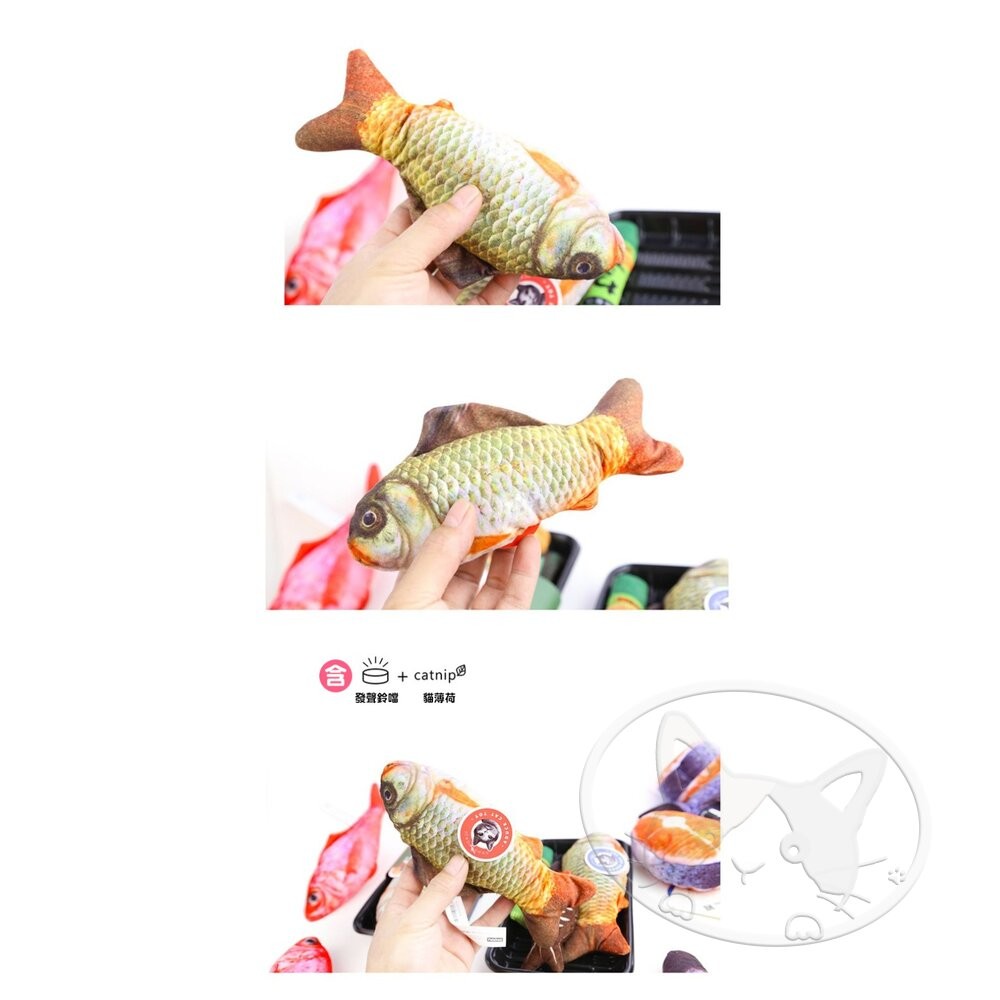 【旺生活】新鯉魚 日本Aduck 貓薄荷海鮮/魚壽司  貓薄荷玩具 貓玩具 貓薄荷 鯉魚-細節圖5