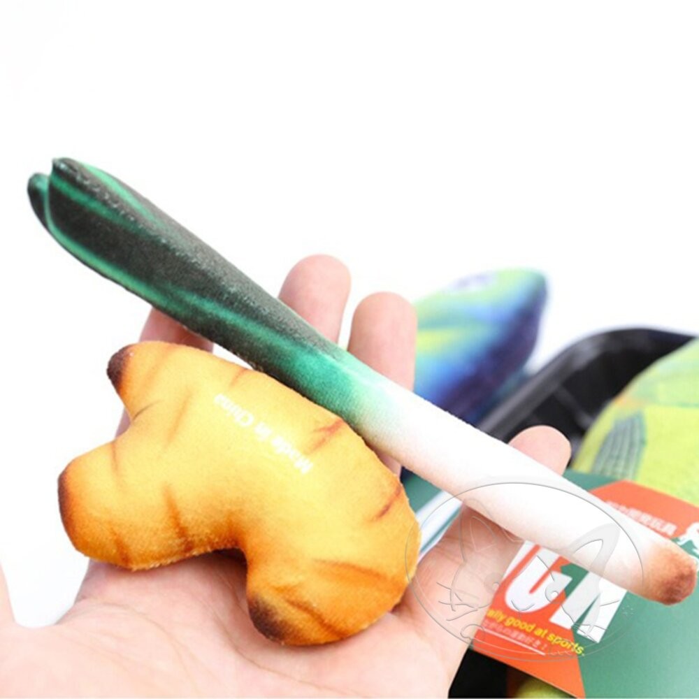【旺生活】大蒜+大薑 日本Aduck 貓薄荷海鮮/魚壽司  貓薄荷玩具 貓玩具 貓薄荷 調味料-細節圖3