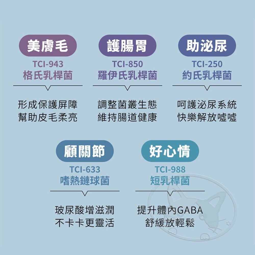 【旺生活】Wait 等等丨犬用 益生菌凍乾 牛肉/雞肉/鱈魚 寵物凍乾 狗零食 犬凍乾-細節圖6
