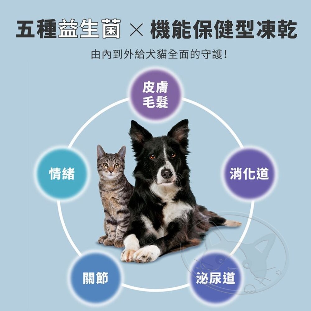【旺生活】Wait 等等丨犬用 益生菌凍乾 牛肉/雞肉/鱈魚 寵物凍乾 狗零食 犬凍乾-細節圖5