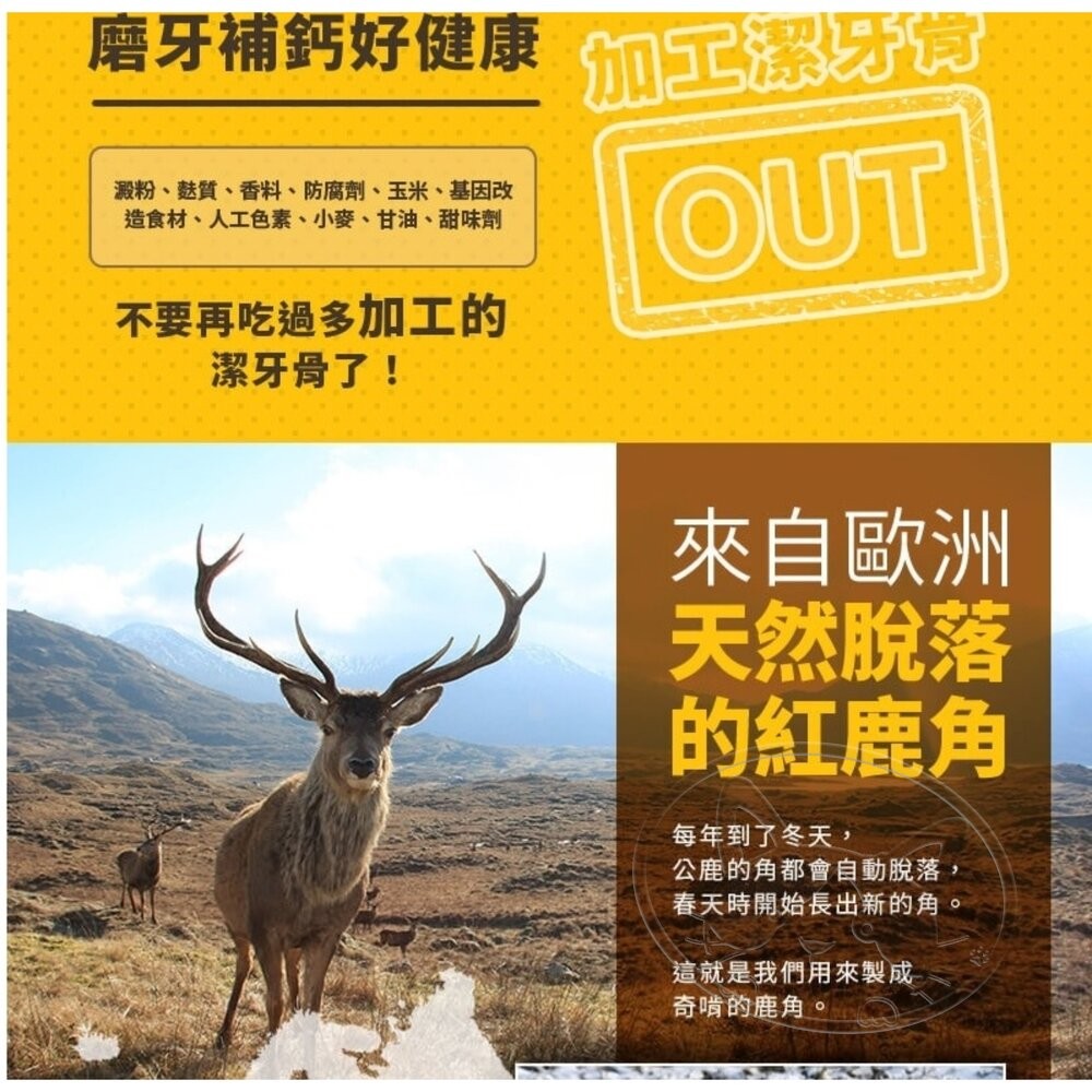 【旺生活】奇啃 CHIKEN 歐洲天然紅鹿角 S 50g M 70g L 90g 狗零食 狗潔牙 磨牙-細節圖7