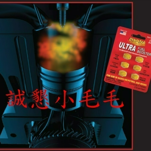 【紅卡】【當天出貨】【特殊潤滑配方】【誠字標籤】【8大保證】【汽油柴油通用】【Dyno Tab dynotab】-細節圖7