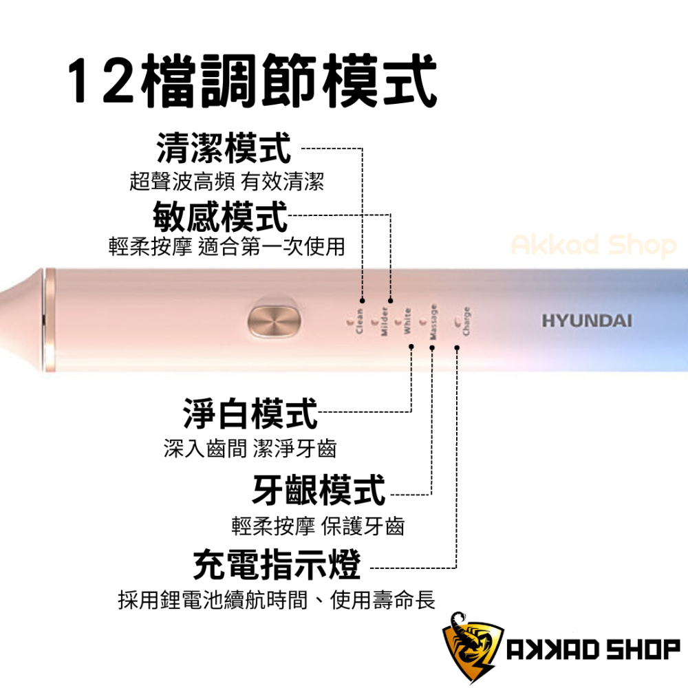 HYUNDAI 韓國現代 超高頻聲波電動牙刷 音波電動牙刷 HD-OC-013-細節圖2