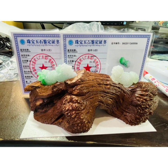 天然A貨緬甸玉 辣白底青手工精雕財路雙開有求必應貔貅翡翠擺件(一對)  冰潤白綠交融 色辣工精 一柔一陽左招財右守宅-細節圖11