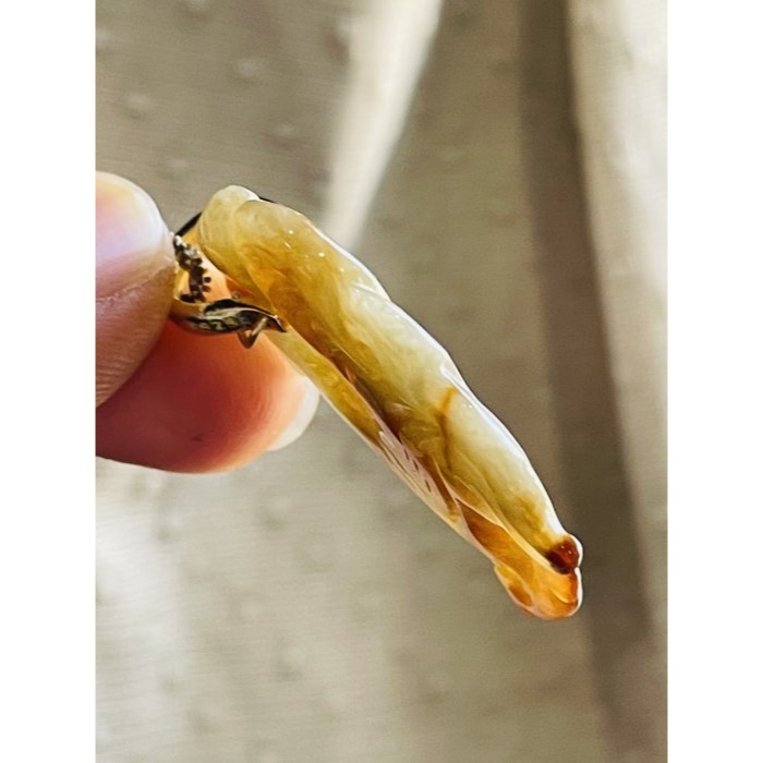 天然A貨緬甸玉 老坑漸變紅大吉大利/天賜良機翡翠玉墜 天然雪梨黃漸變紅 色過底油亮光澤自現 雕工俏皮可愛公雞-細節圖3