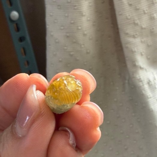 天然A貨緬甸玉 冰糖黃雙彩360度環繞微雕一條龍翡翠小龍珠/頂珠 起冰糖黃過度冰青灰肉 純手工雕作寸玉見匠心-細節圖6