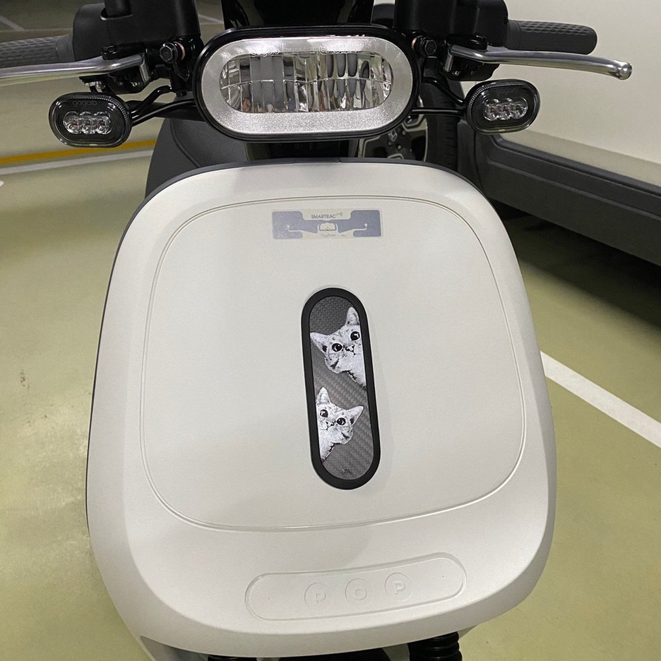 【現貨🔥直上 好安裝】gogoro 前飾板 viva mix 前飾板 gogoro2 前飾板 supersport s2-細節圖8