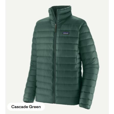 特價~美國Patagonia Down Sweater 800FP 立領羽絨外套-男-細節圖2
