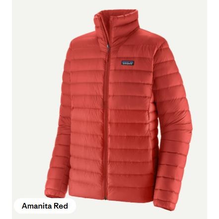 特價~美國Patagonia Down Sweater 800FP 立領羽絨外套-男-細節圖4