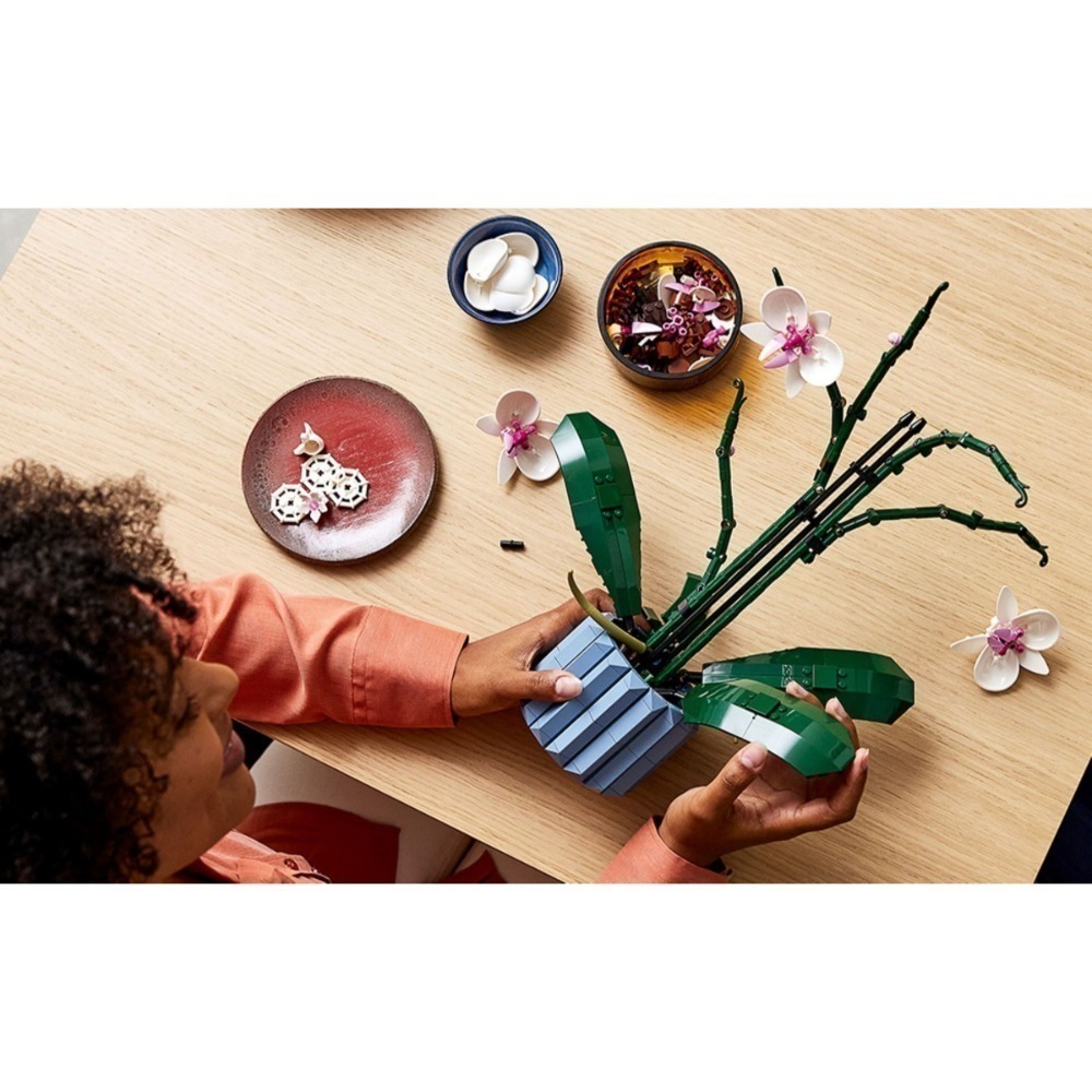 🟦電積系🟩淡水🟥LEGO 10311 蘭花🟨iCON-細節圖4