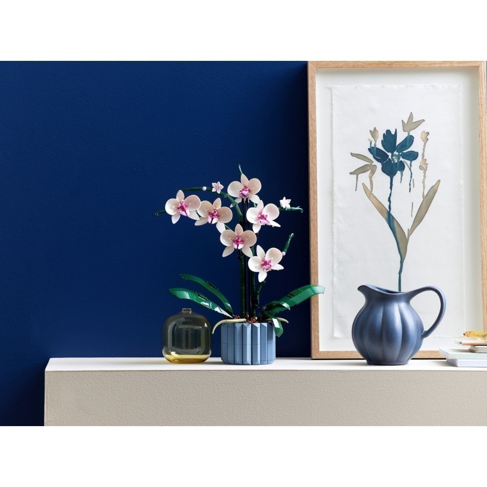 🟦電積系🟩淡水🟥LEGO 10311 蘭花🟨iCON-細節圖5