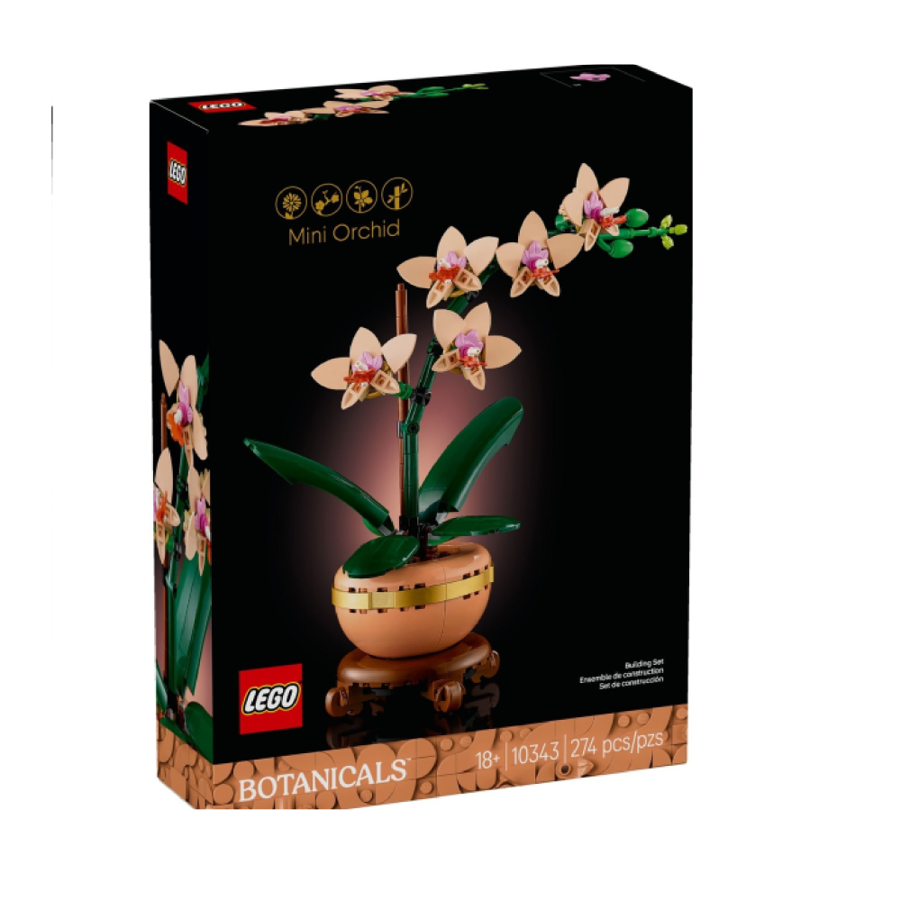 🟦電積系🟩淡水🟥LEGO 10343 迷你蘭花 🟨Botanicals-細節圖3