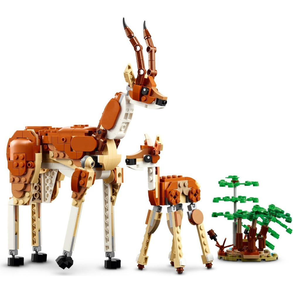 🟦電積系🟩滿額折200🟥LEGO 31150 野生動物園動物🟨Creator-細節圖3