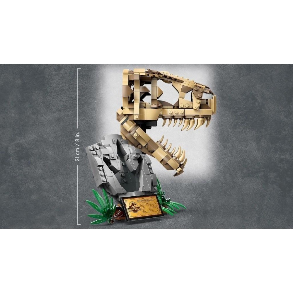 🟦電積系🟩淡水🟥LEGO 76964 暴龍化石🟨Jurassic-細節圖4