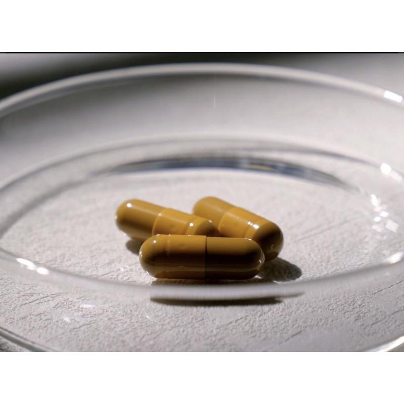 GREEN GOLD 台灣綠金 D6（買一送一）金盞花葉黃素/葉黃素/B群《現貨》-細節圖4