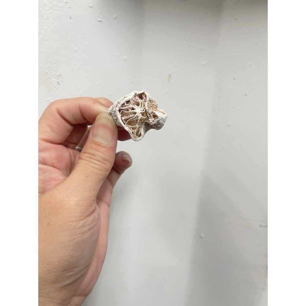 泰國WPKfruits天然檸檬皮果乾 150g (現貨）-細節圖4