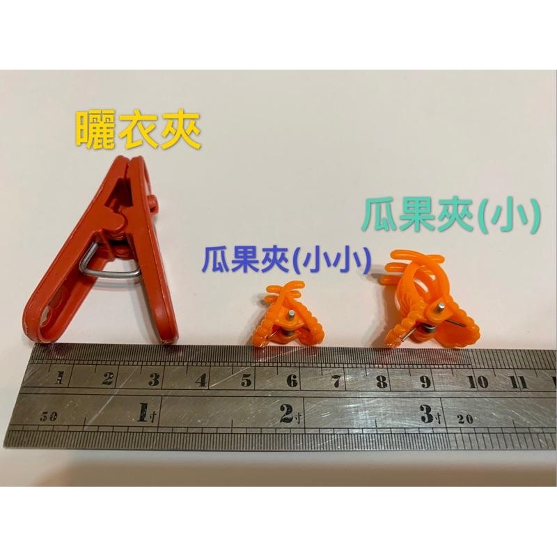 絲瓜夾 瓜果夾 蘭花夾 500個-細節圖2
