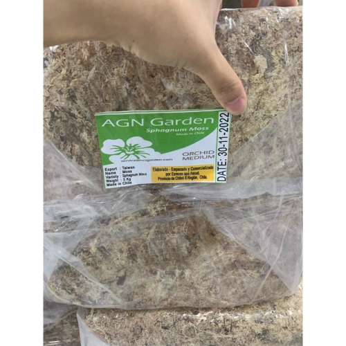 現貨-智利 水苔 5公斤原裝包鹿角蕨 乾燥水草 蘭科植物 水草 觀葉植物 水苔
