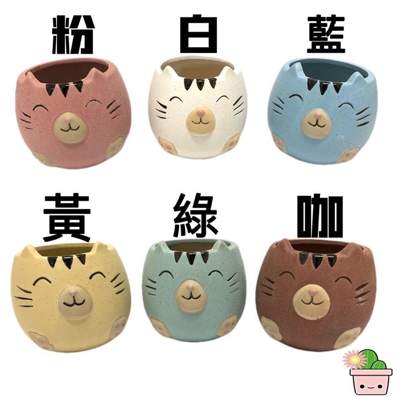 可愛貓咪陶盆 多肉盆 療癒盆 彩色盆 造型花盆 陶盆 透氣盆 陶土盆 盆栽 花盆-細節圖2