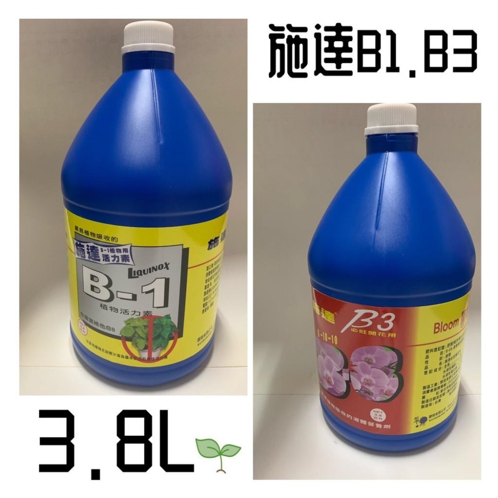 施達活力素B1 3.8L B3 B4  3.8L 開花-細節圖2