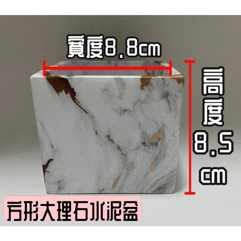大理石紋水泥盆 景觀盆栽 多肉質感盆 造型花盆 陶盆 透氣盆 陶土盆 盆栽 花盆 多肉 動物花盆 可愛花盆 陶器 陶瓷盆-細節圖2