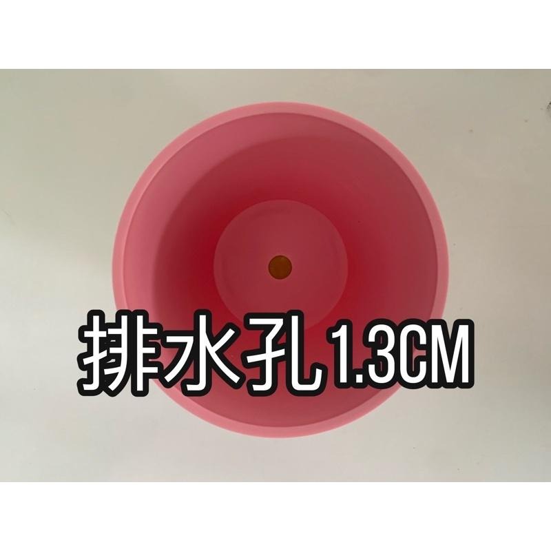 單盆用掛架 陽台架 彩盆 花架 盆裁 花盆 盆架 多肉 日式彩盆 4.5寸掛架 3寸掛架 園藝掛架-細節圖6