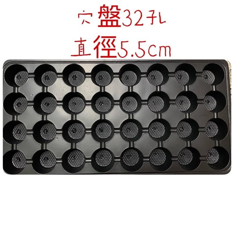 32孔育苗盤(一組5入) 穴盤塑膠盤苗栽盤栽培盤- 農之心園藝資材行