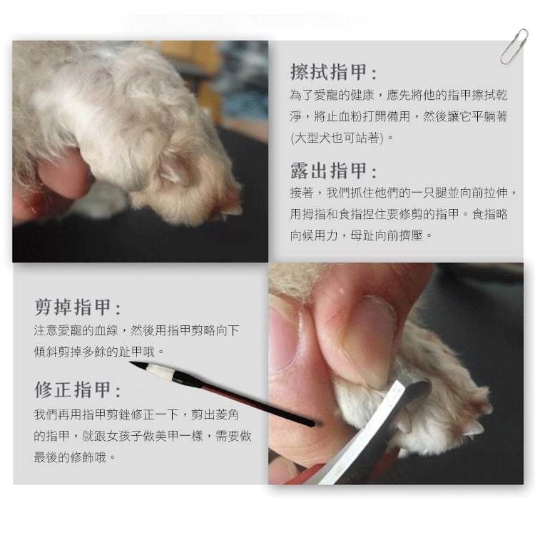 寵愛款 Q-004 寵物止滑指甲剪/附贈銼刀/止滑柄握/小型犬/狗狗/貓咪/寵物美甲/美甲剪/美甲器/趾甲刀/美容-細節圖4