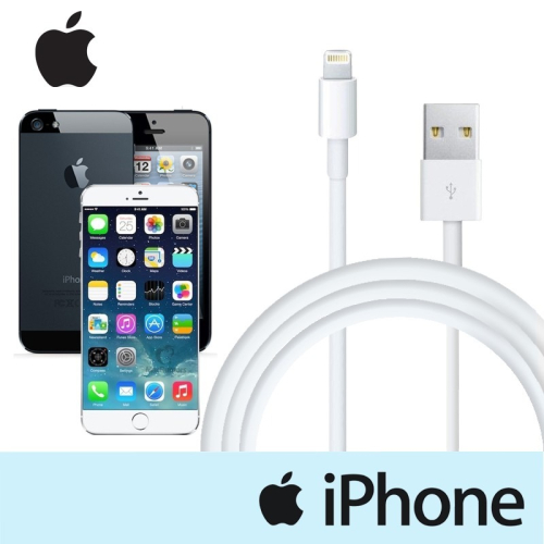 【神腦貨 盒裝】Apple 1M 原廠傳輸線 充電線 iPhone 7 8 Plus X XR Xs 11 iPad