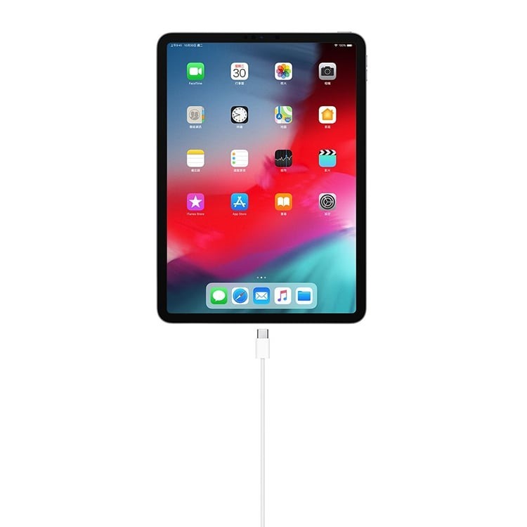 神腦貨盒裝 Apple USB-C 對 USB-C 充電連接線 1M 2M 原廠傳輸線 快充線 iPad Air2-細節圖2