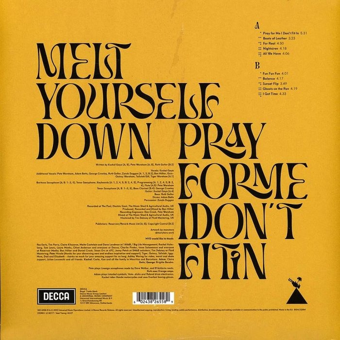 【DECCA】Melt Yourself Down: Pray For Me I Don＇t Fit In (黑膠唱片)-細節圖2