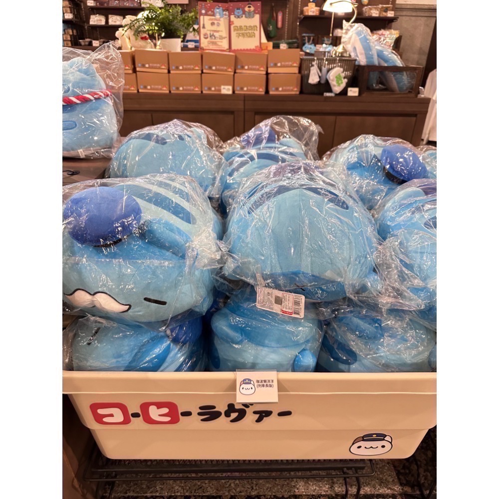 快速出貨🚚 全新限量現貨 台中驛站限定 咖波懶洋洋絨毛娃娃 列車長版 限時優惠-細節圖2