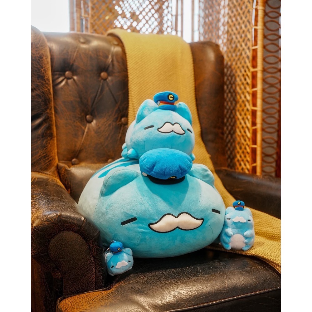 快速出貨🚚 全新限量現貨 台中驛站限定 咖波懶洋洋絨毛娃娃 列車長版 限時優惠-細節圖7