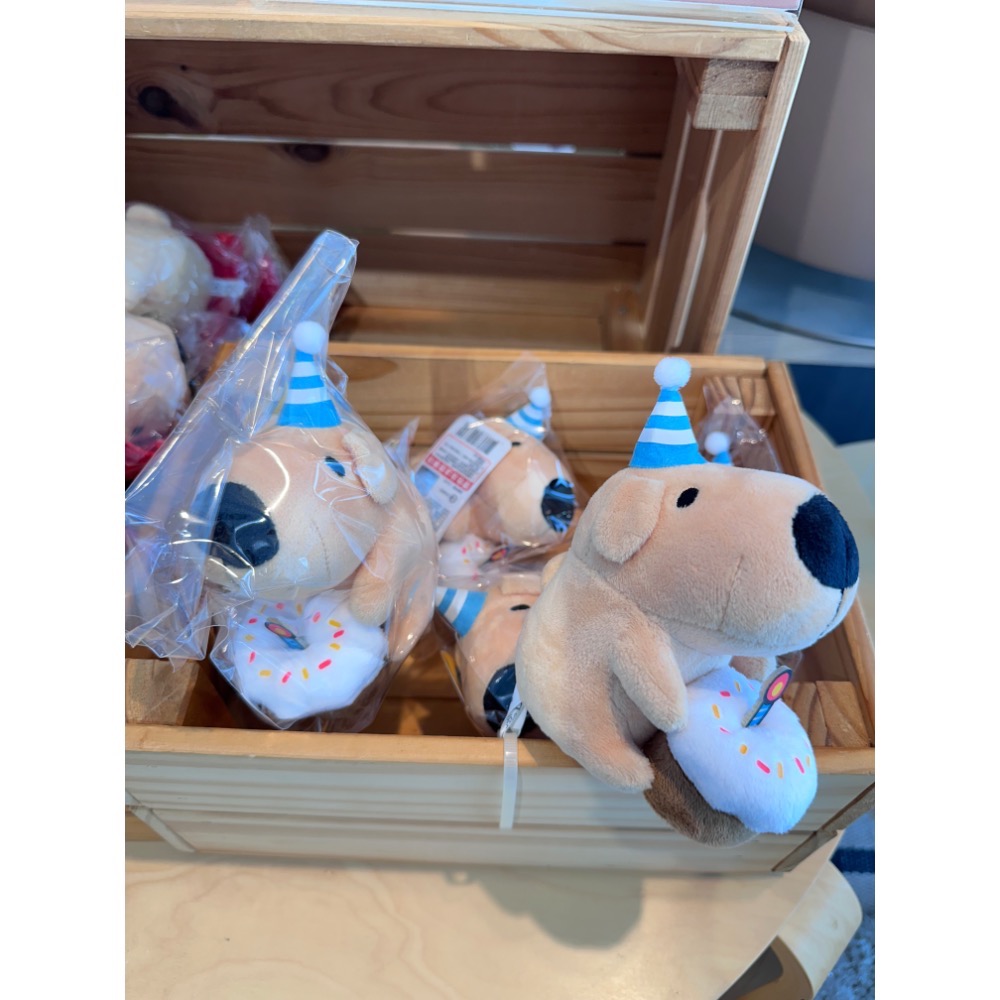 8月新品 卡特島選品店限定販售 全新限量現貨 生日狗狗絨毛娃娃 招財狗狗大臉金屬胸針-細節圖2