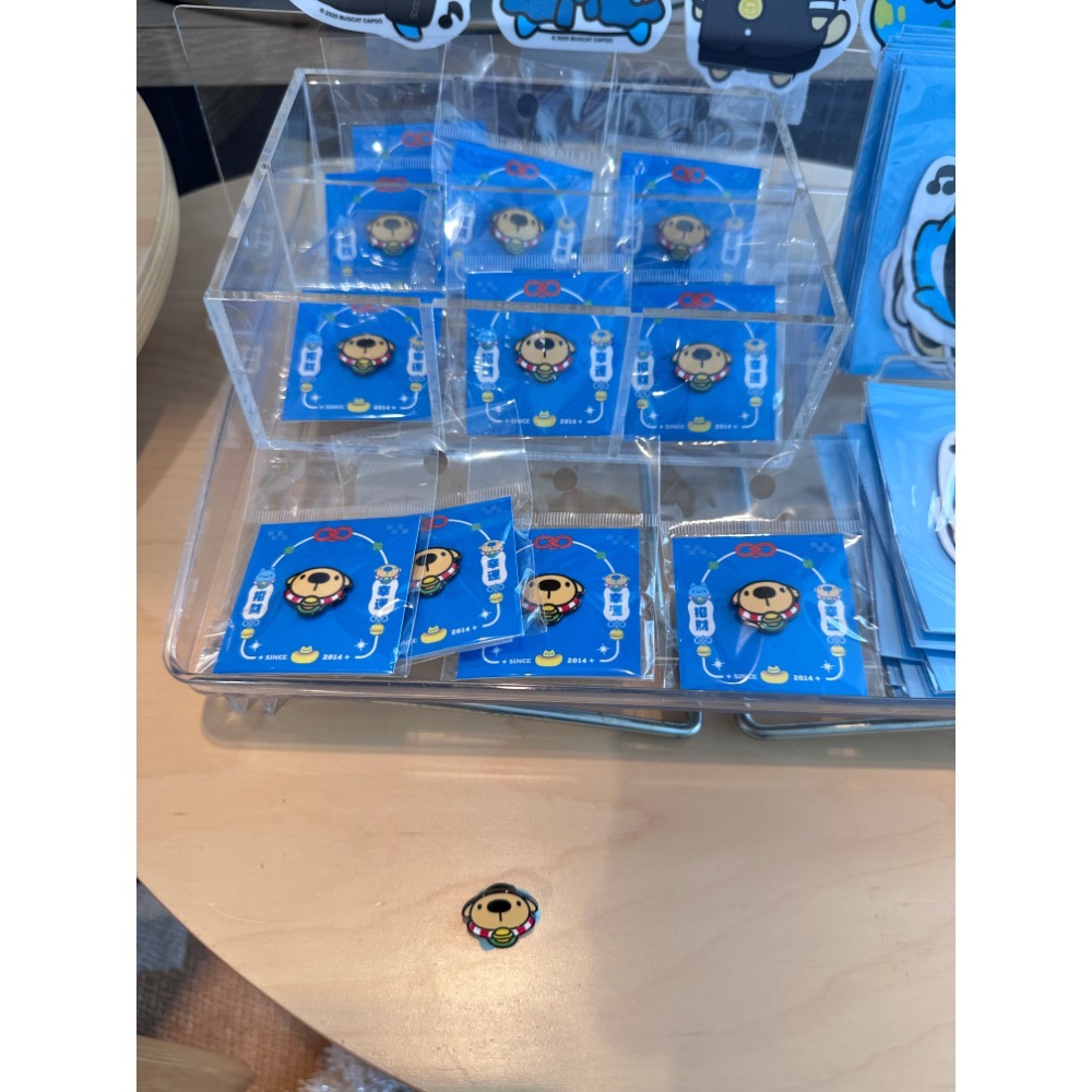 8月新品 卡特島選品店限定販售 全新限量現貨 生日狗狗絨毛娃娃 招財狗狗大臉金屬胸針-細節圖3