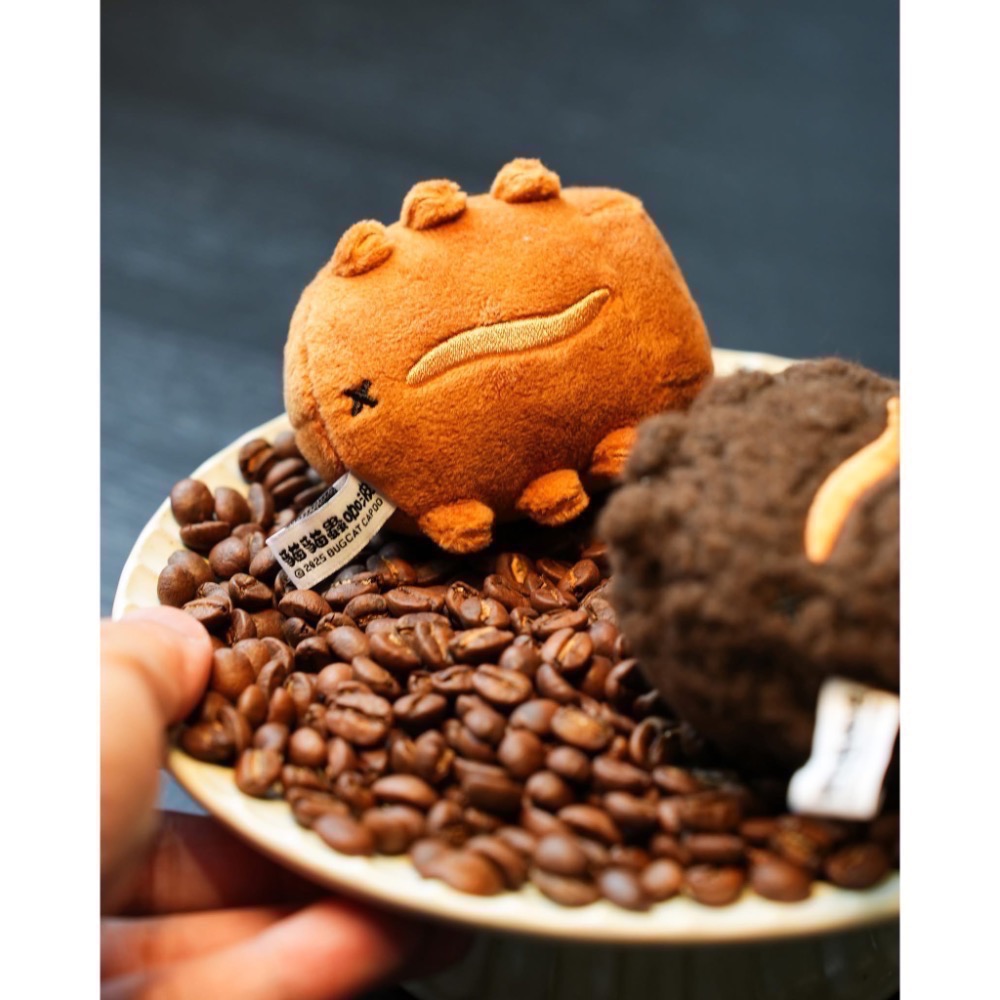 全新限量現貨+預購 11月卡特島新品 咖啡豆貓蟲 深焙 杯杯 招財咖波絨毛娃娃 小肉咖 小肉狗 投影機 存錢筒-細節圖10