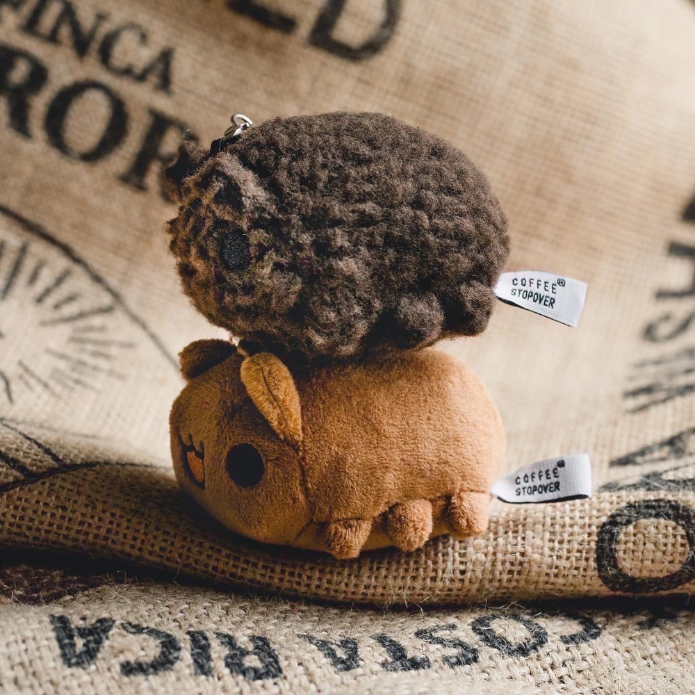 全新限量現貨+預購 11月卡特島新品 咖啡豆貓蟲 深焙 杯杯 招財咖波絨毛娃娃 小肉咖 小肉狗 投影機 存錢筒-細節圖8