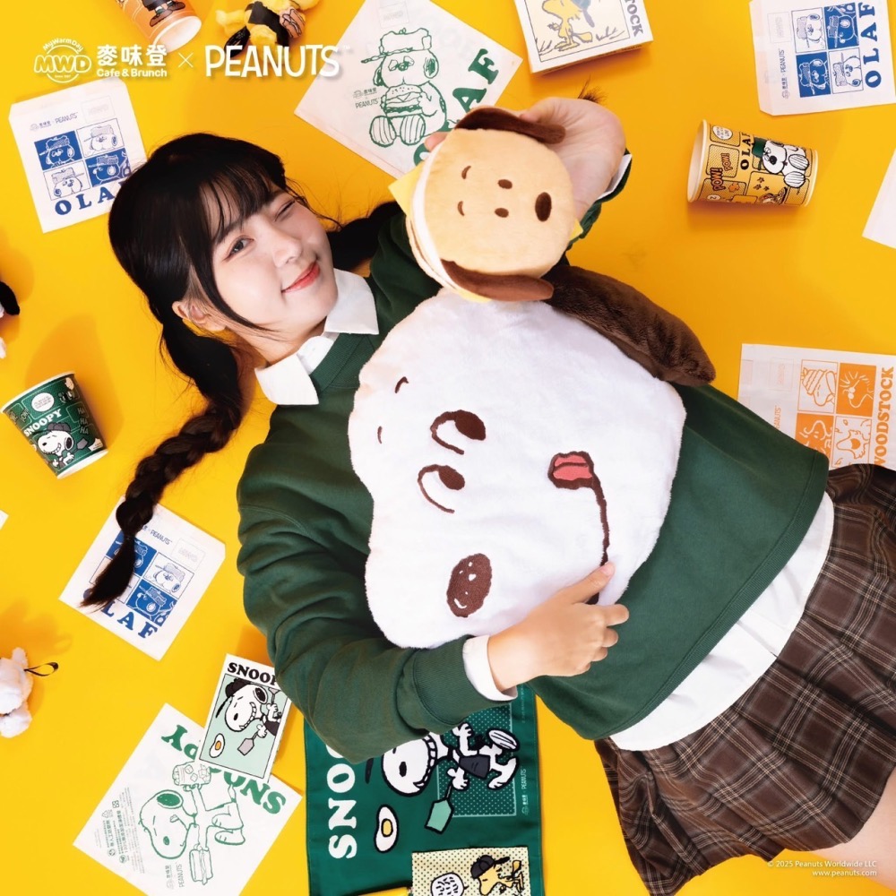 全新限量現貨 正版授權 麥味登 x Peanuts 我的美夢時光 史努比 歐拉夫 糊塗塔克 玩偶抱枕毯 絨毛玩偶吊飾-細節圖2