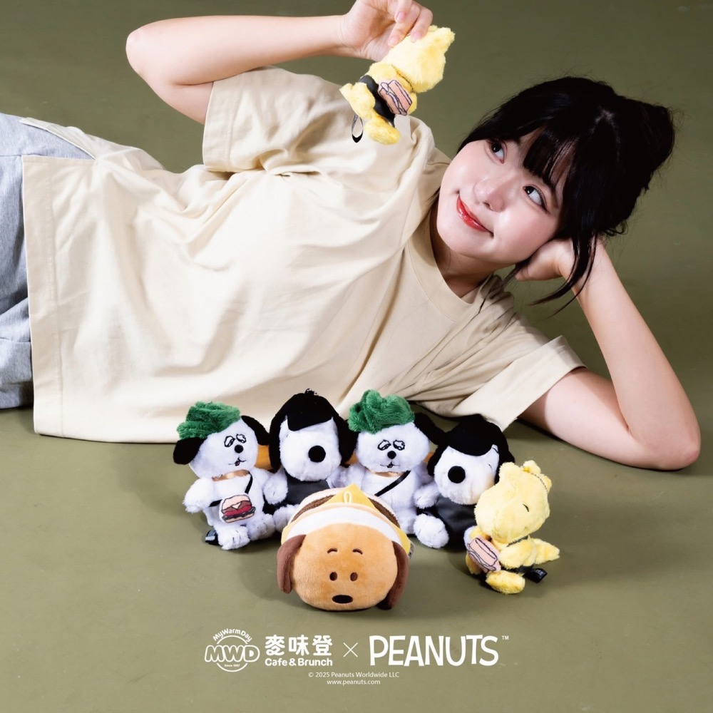 全新限量現貨 正版授權 麥味登 x Peanuts 我的美夢時光 史努比 歐拉夫 糊塗塔克 玩偶抱枕毯 絨毛玩偶吊飾-細節圖3