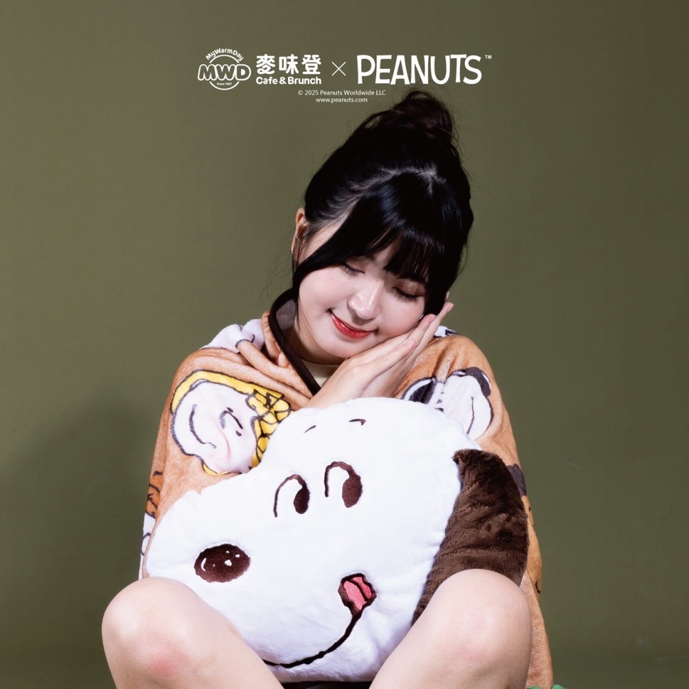 全新限量現貨 正版授權 麥味登 x Peanuts 我的美夢時光 史努比 歐拉夫 糊塗塔克 玩偶抱枕毯 絨毛玩偶吊飾-細節圖4