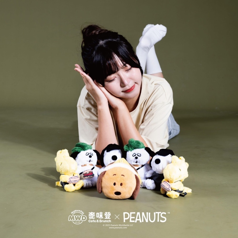 全新限量現貨 正版授權 麥味登 x Peanuts 我的美夢時光 史努比 歐拉夫 糊塗塔克 玩偶抱枕毯 絨毛玩偶吊飾-細節圖6