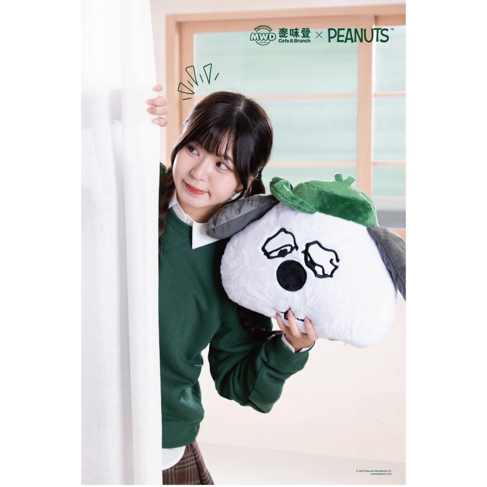 全新限量現貨 正版授權 麥味登 x Peanuts 我的美夢時光 史努比 歐拉夫 糊塗塔克 玩偶抱枕毯 絨毛玩偶吊飾-細節圖10
