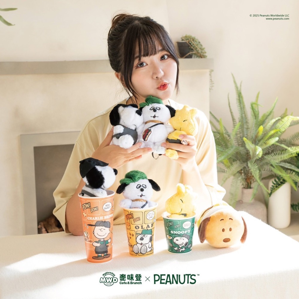 全新限量現貨 正版授權 麥味登 x Peanuts 我的美夢時光 史努比 歐拉夫 糊塗塔克 玩偶抱枕毯 絨毛玩偶吊飾-細節圖11