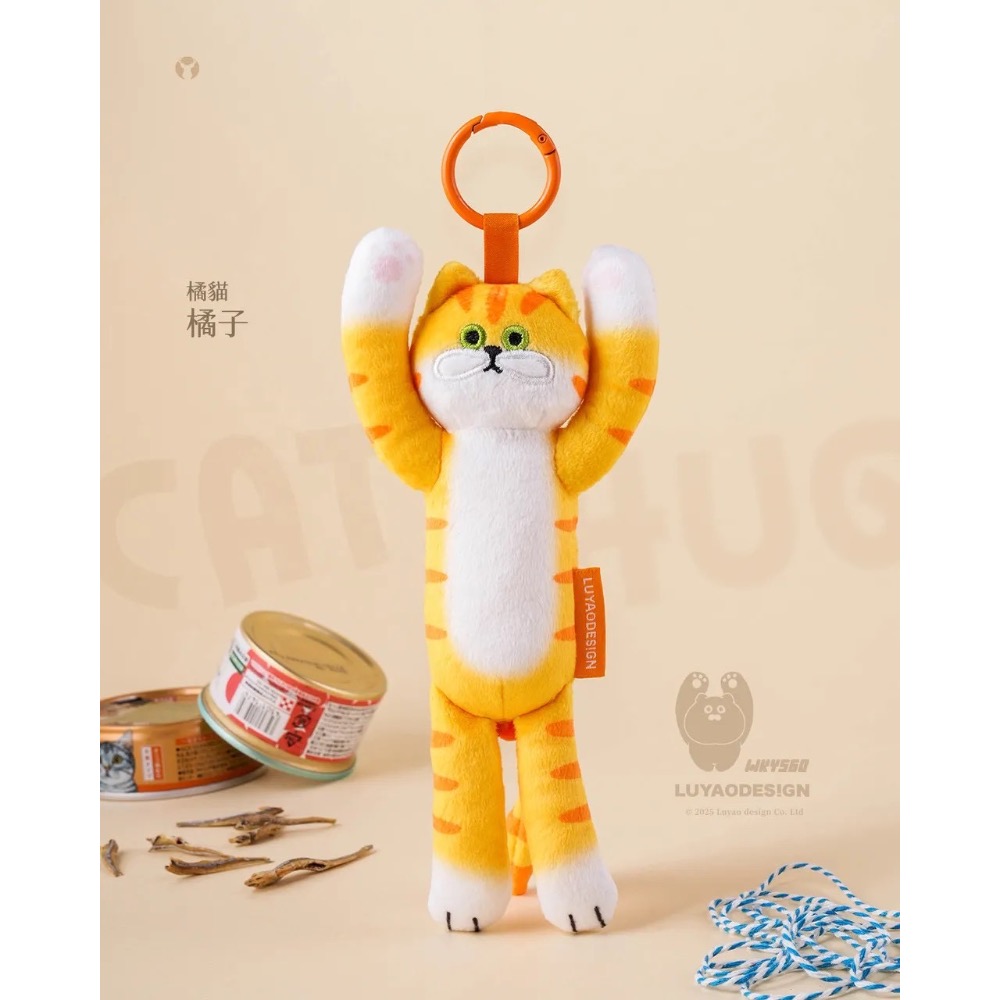 橘子（橘貓）