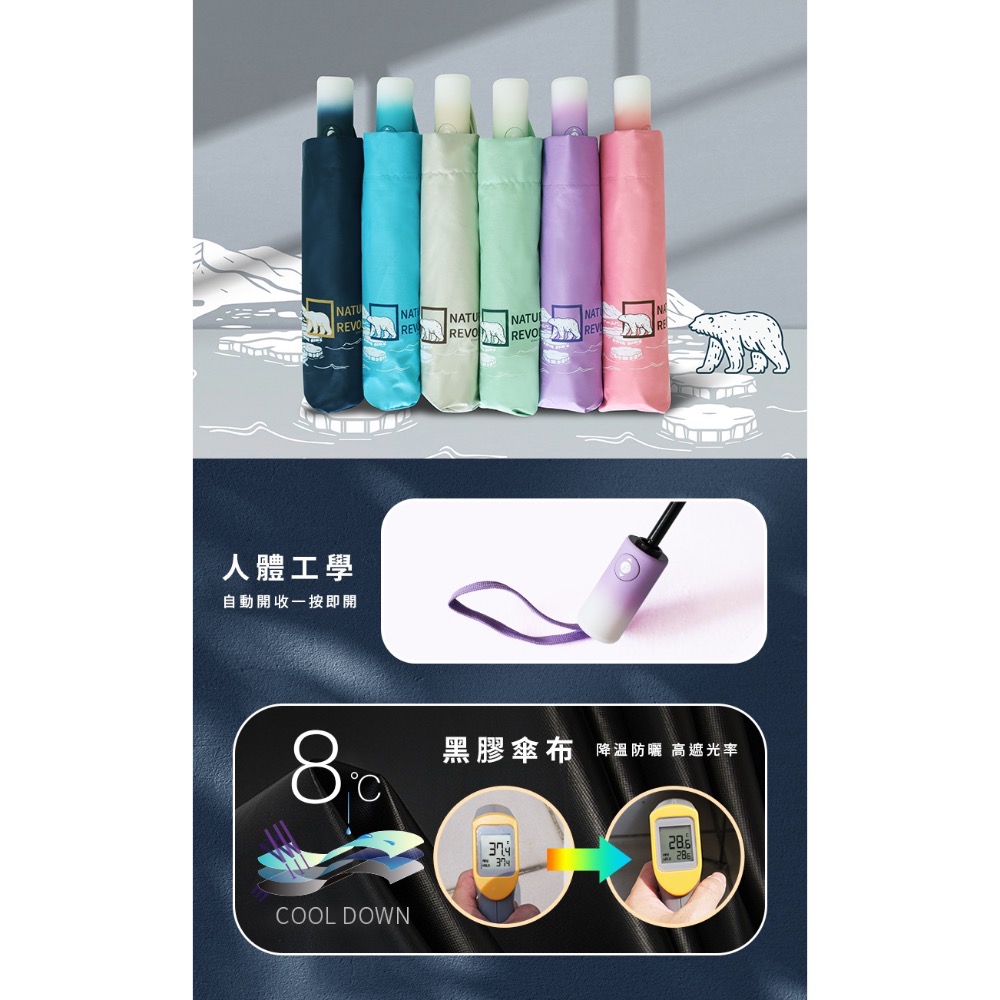 [雙龍牌］北極熊進化。輕量降溫自動開收傘B6061E-細節圖3