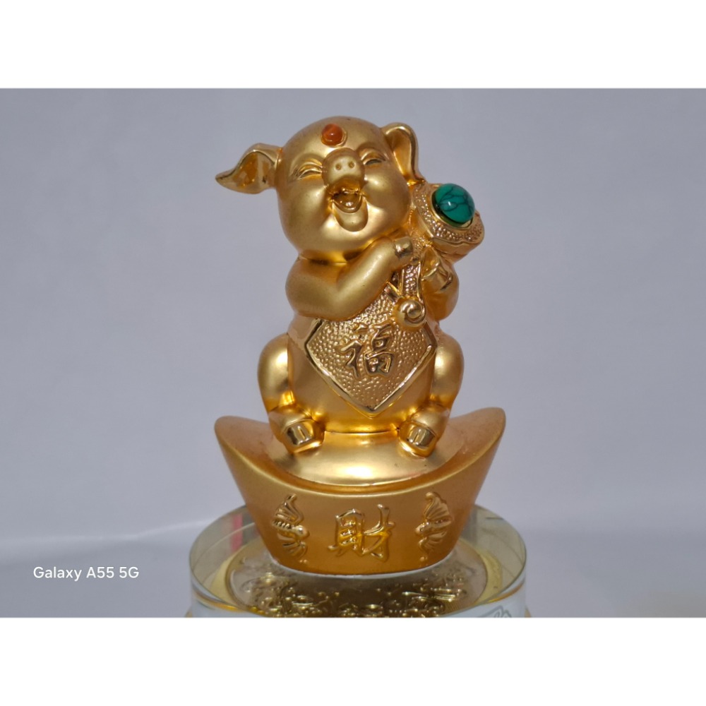 福到財就到招財金錢猪擺飾-細節圖4