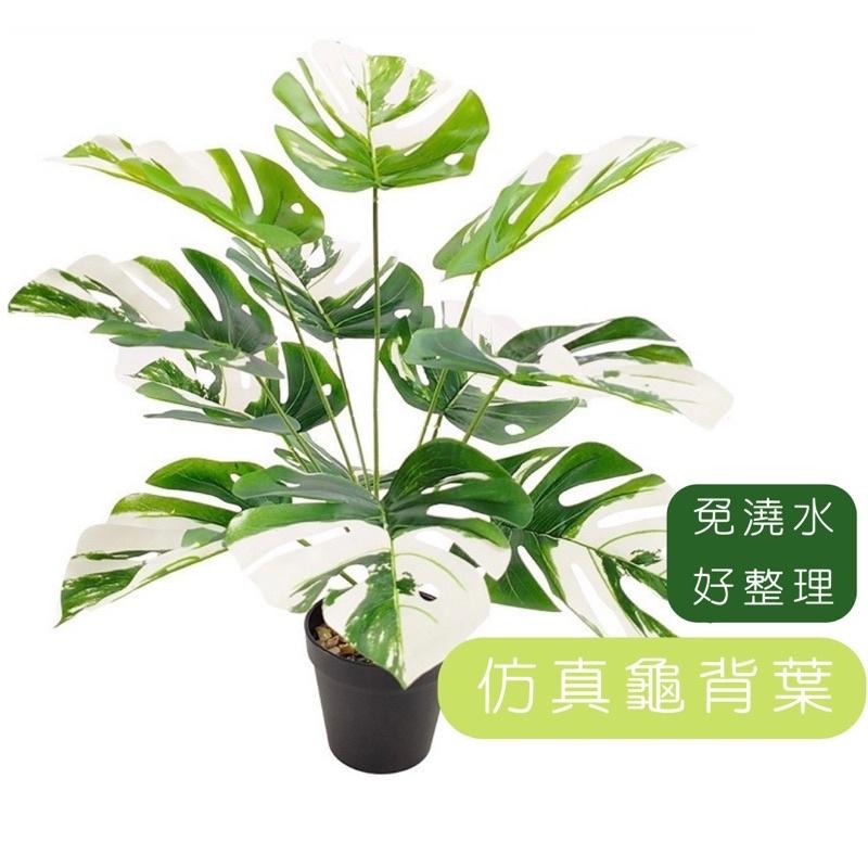 仿真盆栽 龜背葉 仿真植物 龜背芋 室內植物 花 植物 植栽 假植物 人造植物 【GXS拍照道具】-細節圖2