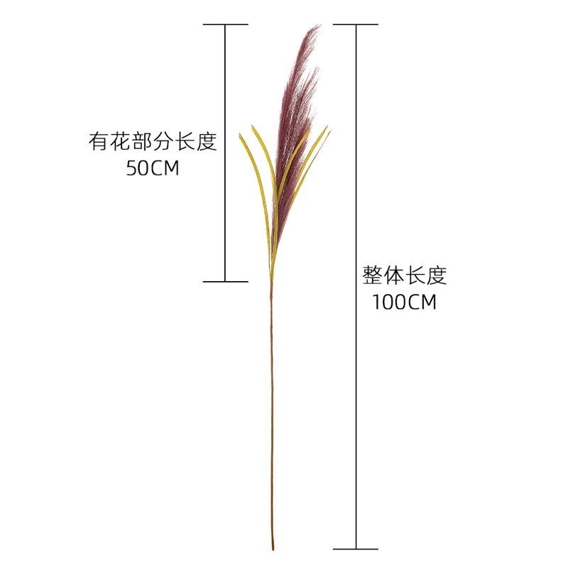 仿真花 仿真蘆葦草 蘆葦 拍照道具 拍照背景 拍照小物【GXS拍照道具】-細節圖4